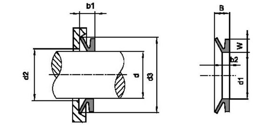 Vl seal, V-Ring